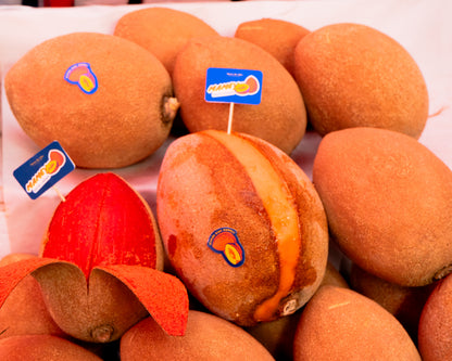 Mamey